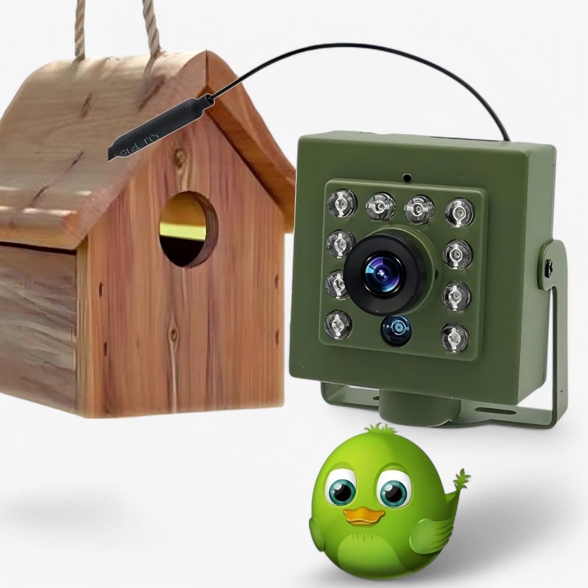 NatureWatch - 1080p HD kamera pro sledování divoké přírody s inteligentní detekcí pohybu | livraina