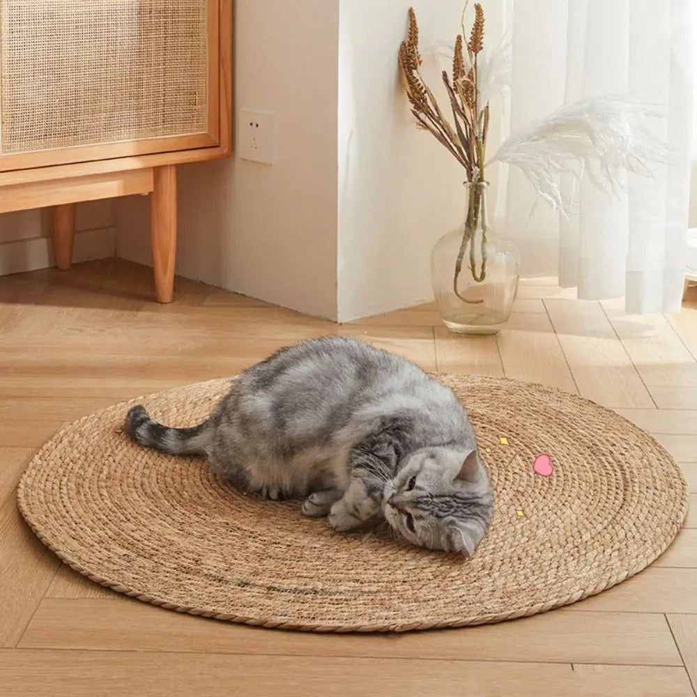 Naturlig og slitesterk klorematte i jute for katter – flettet design | livraina