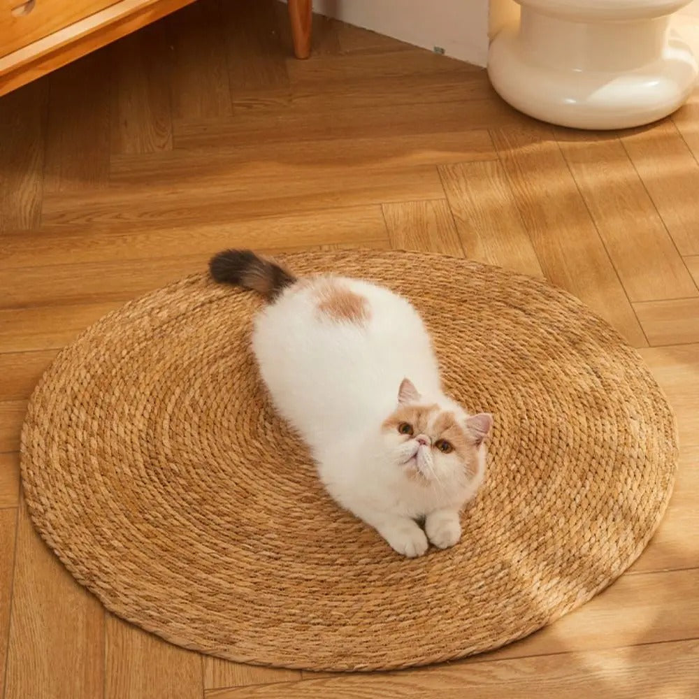 Naturlig og slitesterk klorematte i jute for katter – flettet design | livraina