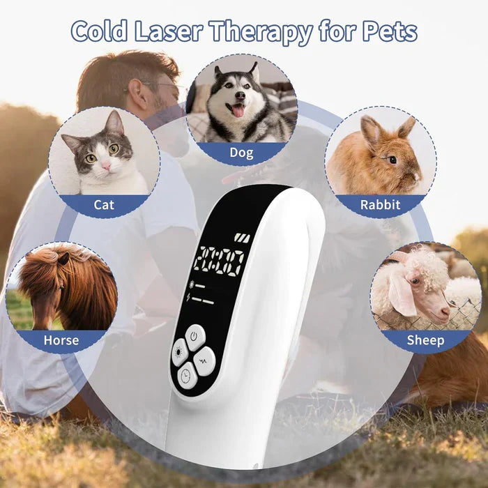 2-in-1 Infrared Light Therapy Device — 650nm & 808nm