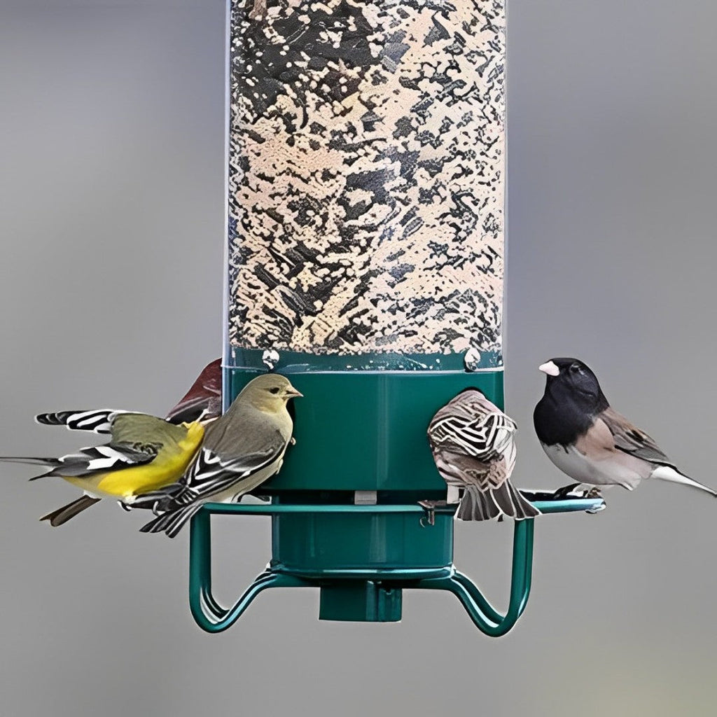 Hangende vogelvoeder met gewichtsactivering — eekhoornbestendige bescherming