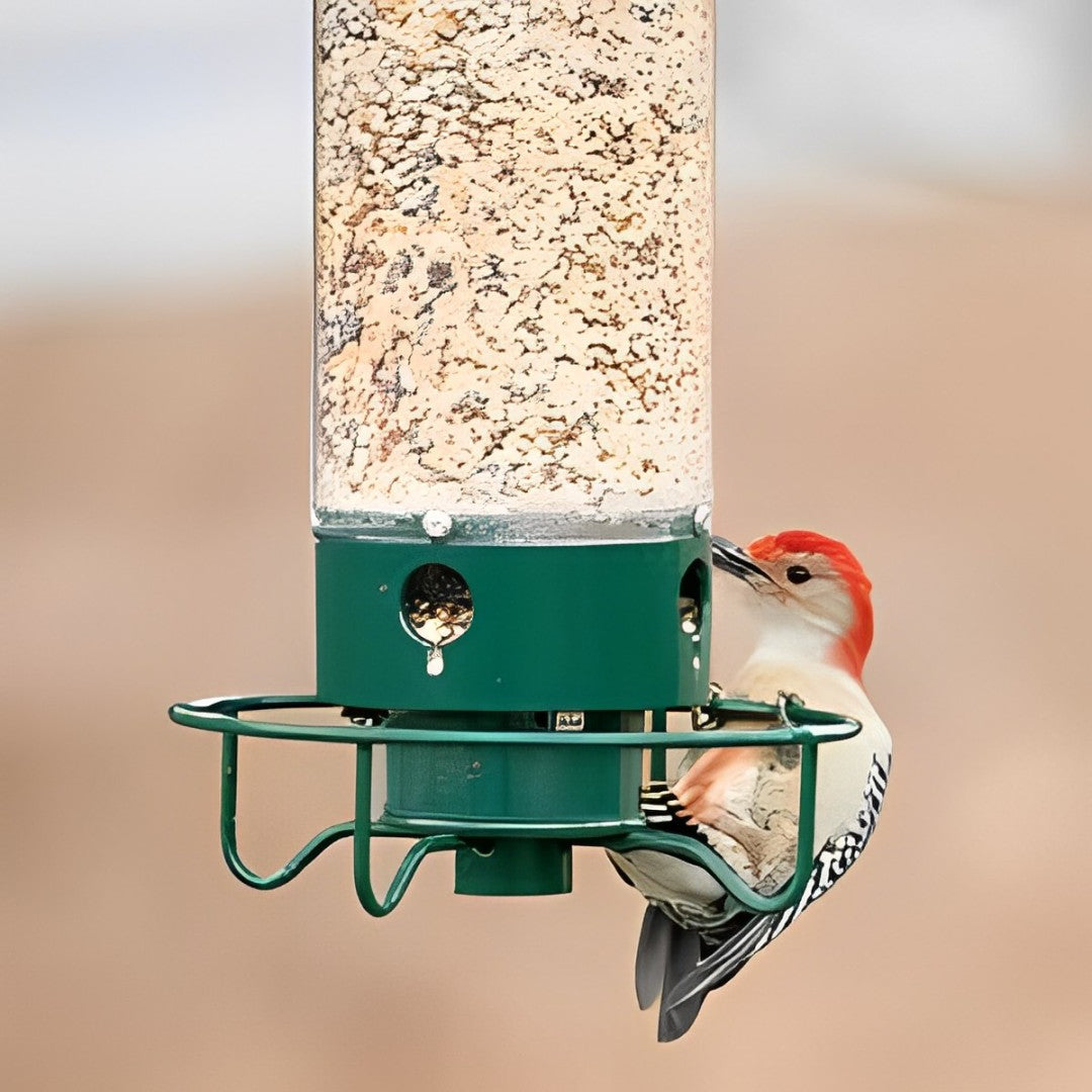 Hangende vogelvoeder met gewichtsactivering — eekhoornbestendige bescherming