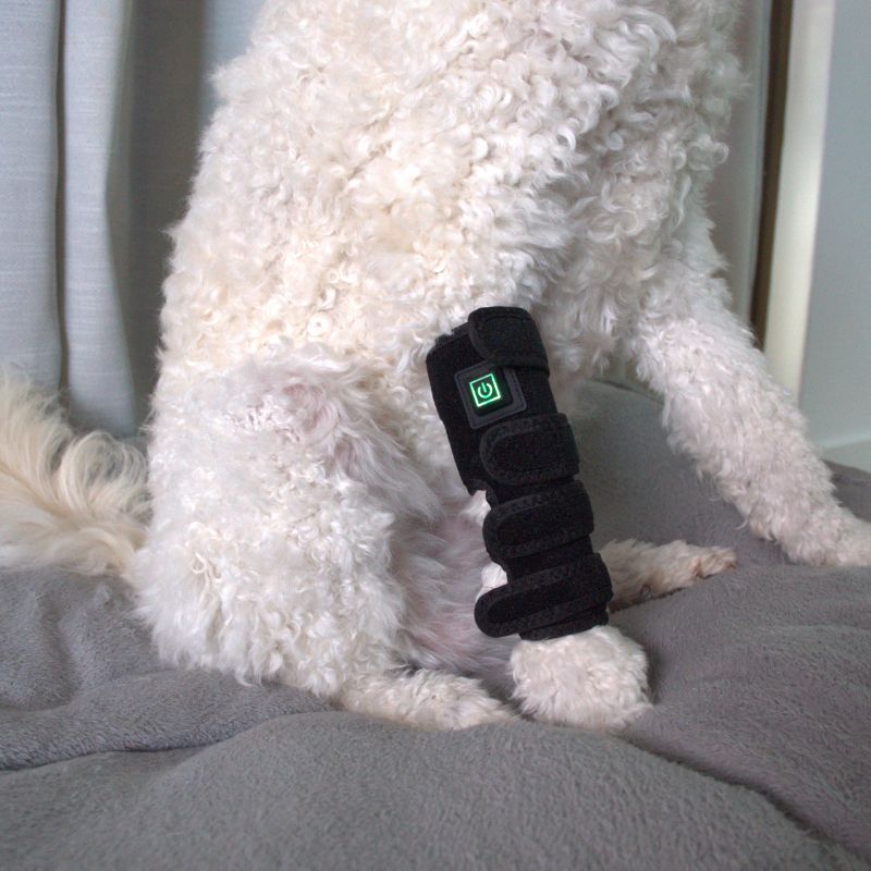 Envoltório para pernas de cães com terapia de luz vermelha — Suporte direcionado para as articulações