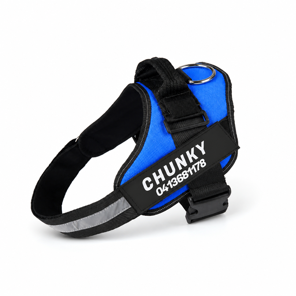Harnais ergonomique réfléchissant anti-traction pour chien (personnalisé) | livraina