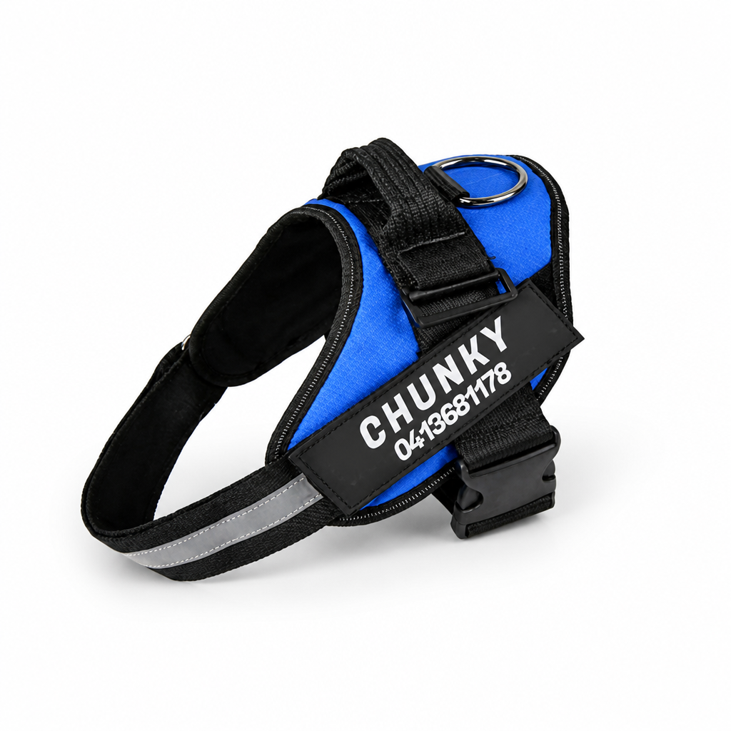 Harnais ergonomique réfléchissant anti-traction pour chien (personnalisé) | livraina