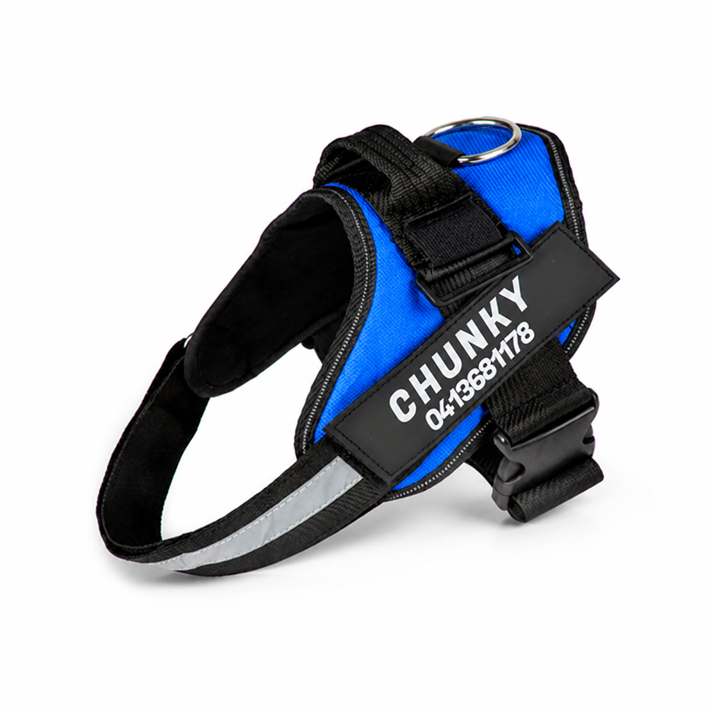 Harnais ergonomique réfléchissant anti-traction pour chien (personnalisé) | livraina