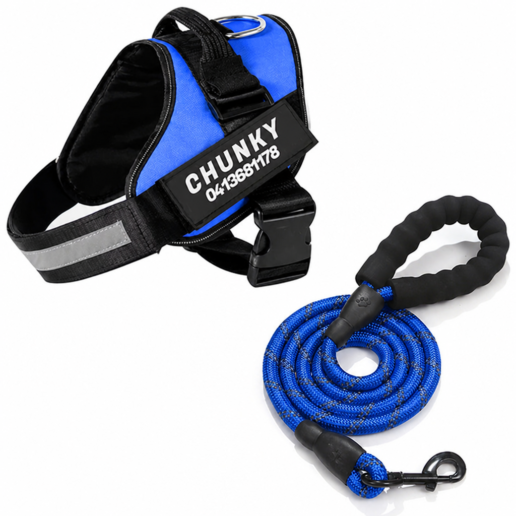 Harnais ergonomique réfléchissant anti-traction pour chien (personnalisé) | livraina
