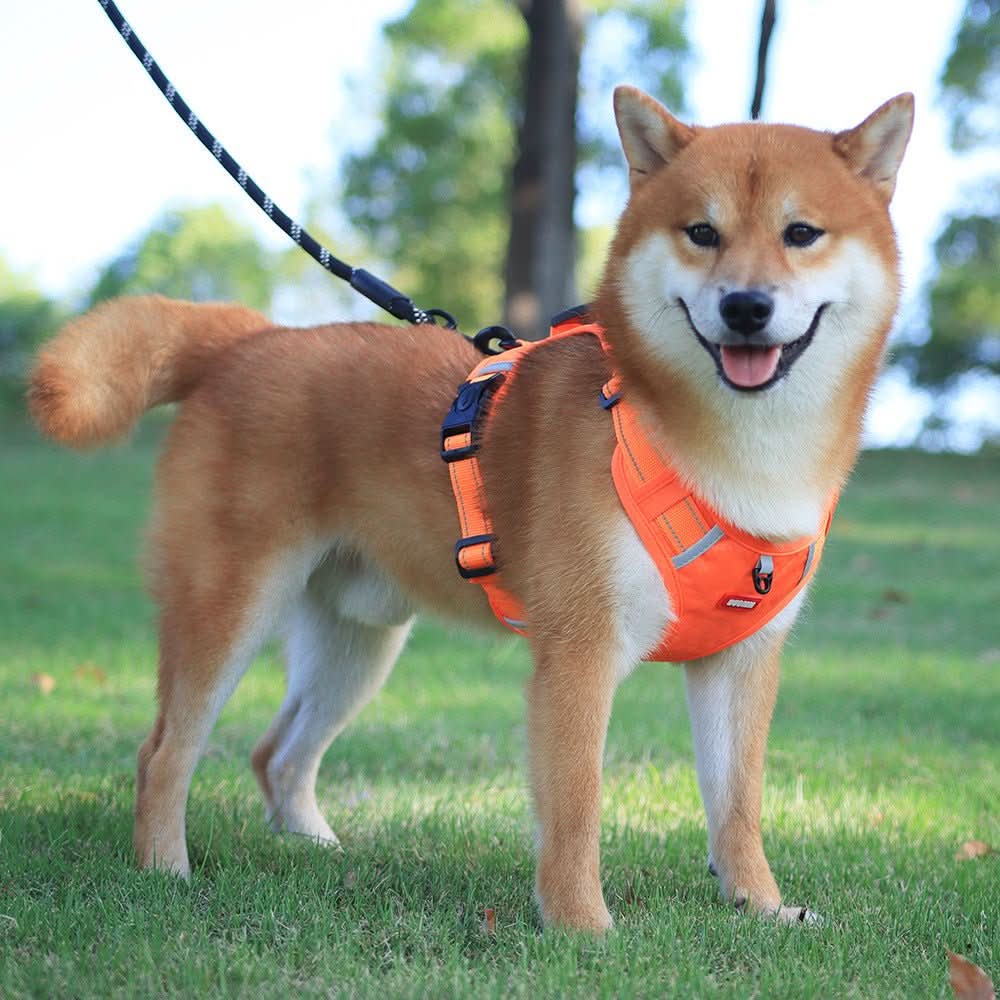 Pettorina per cani CalmStride anti-tiro — Design ergonomico a Y