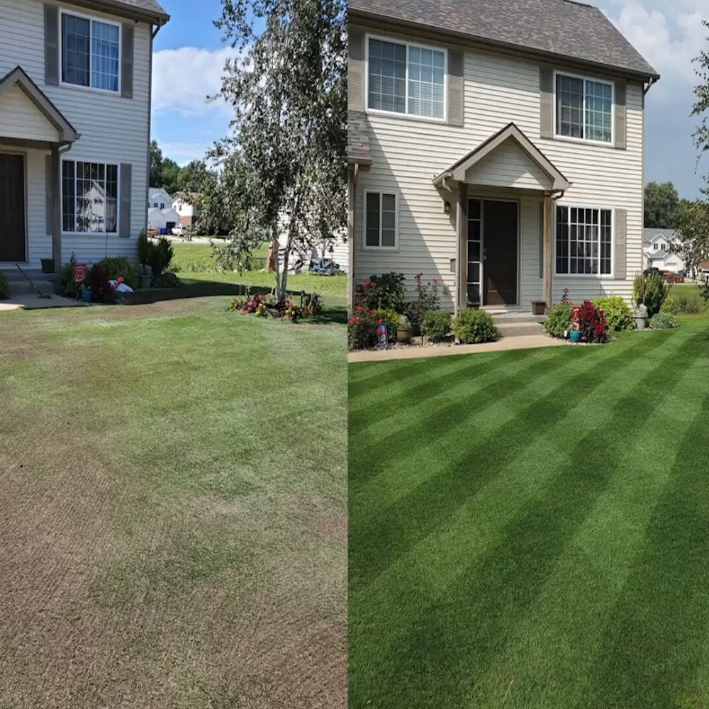 Natuurlijke gazonherstellende spray met graszaadformule | livraina
