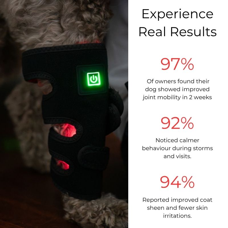 Envoltório para pernas de cães com terapia de luz vermelha — Suporte direcionado para as articulações