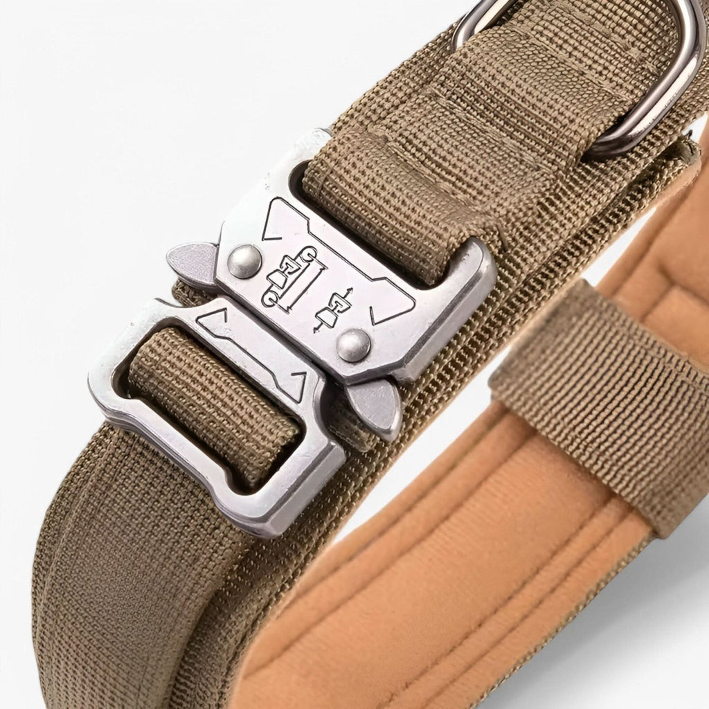 Set di collari per cani StealthPaw resistenti — da medi a grandi, vestibilità regolabile e impermeabile