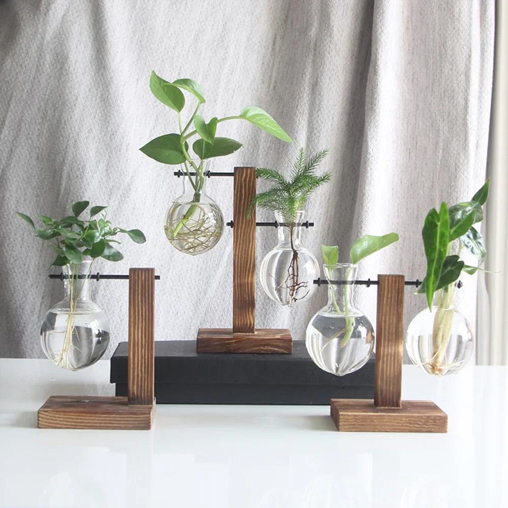 WoodenBloom hydroponisk glasvase med træstativ