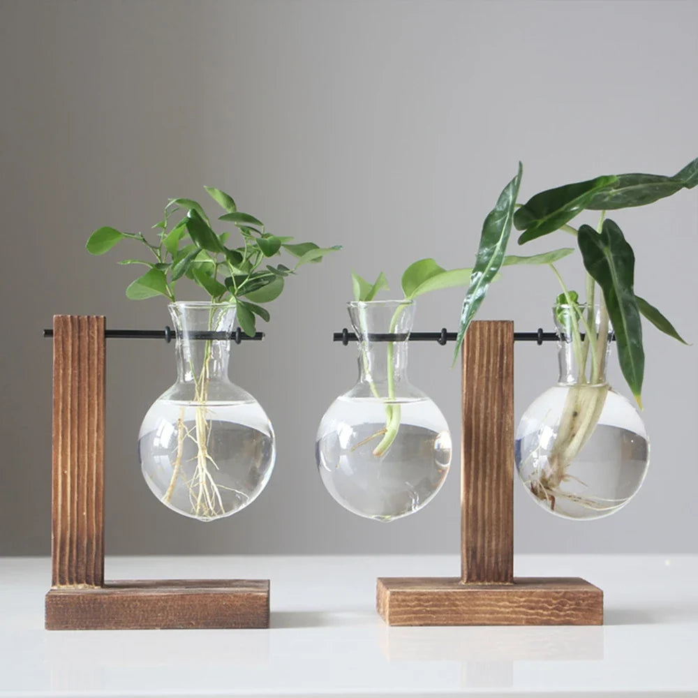 WoodenBloom hydroponisk glasvase med træstativ