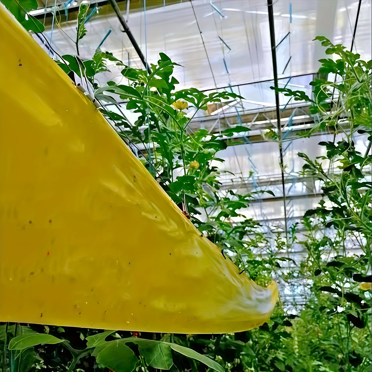 NatureGuard – ochranná bariérová páska proti hmyzu pro venkovní použití | livraina