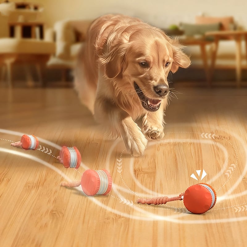 Juguete para perros activado por movimiento con dos velocidades | livraina