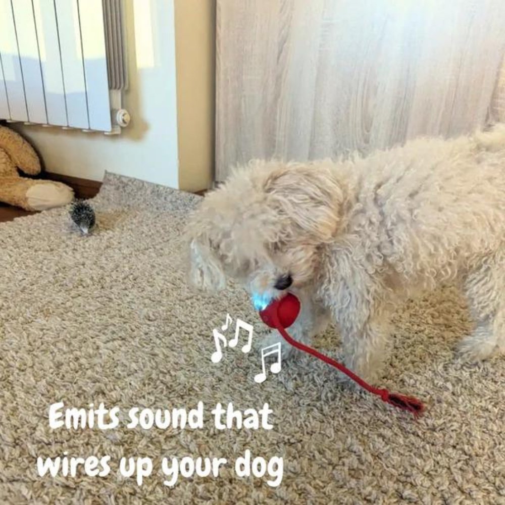 צעצוע כדור מתגלגל לכלבים SwiftOrbit — משחק אינטראקטיבי, הקלה על חרדה