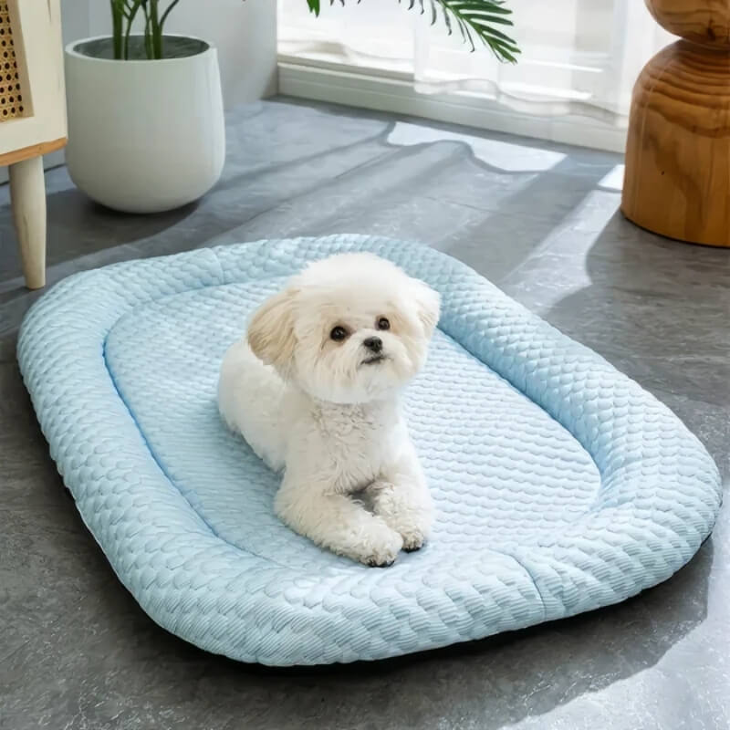 سرير كلاب مبرّد ChillPaws — تحكم بدرجة الحرارة متعدد الطبقات