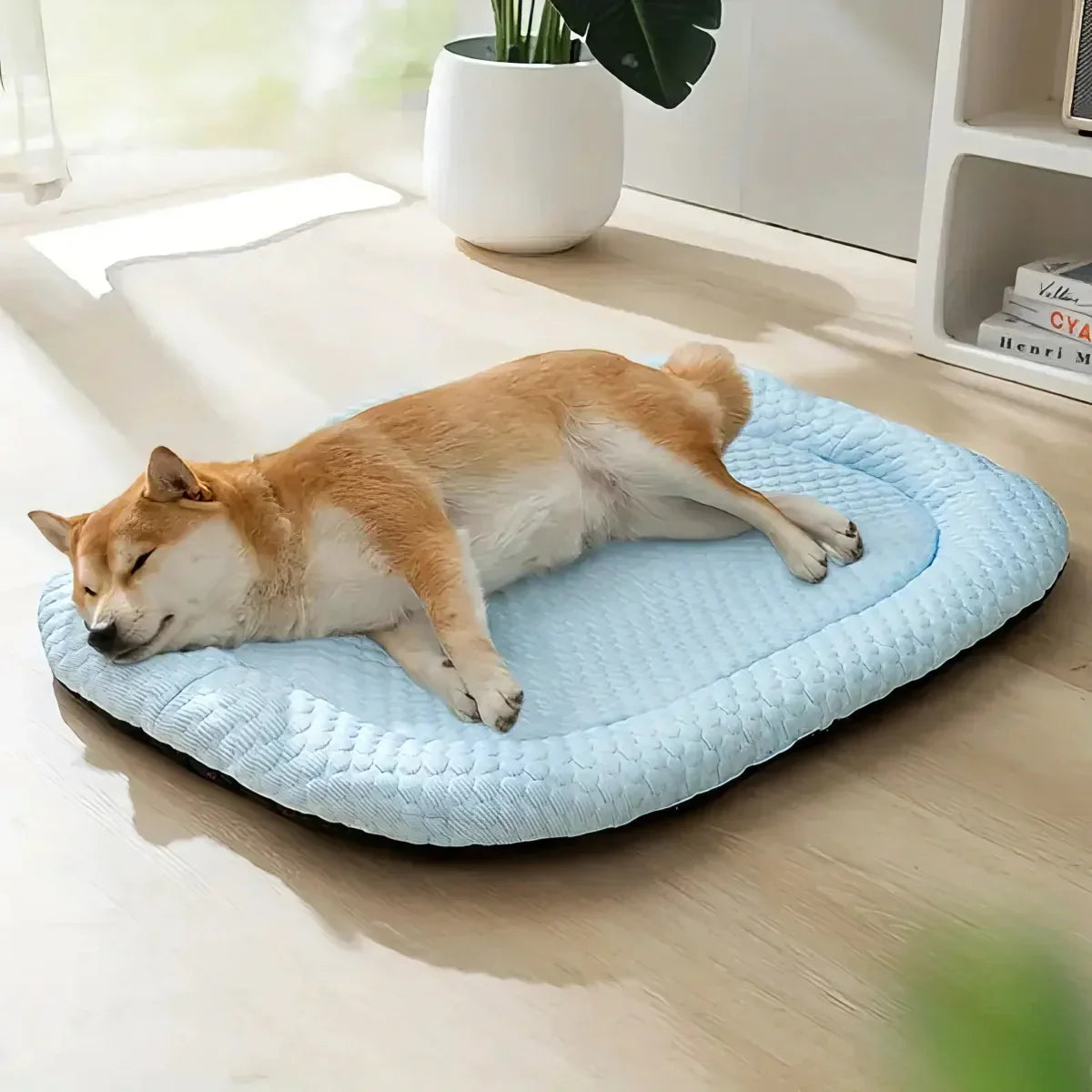 سرير كلاب مبرّد ChillPaws — تحكم بدرجة الحرارة متعدد الطبقات