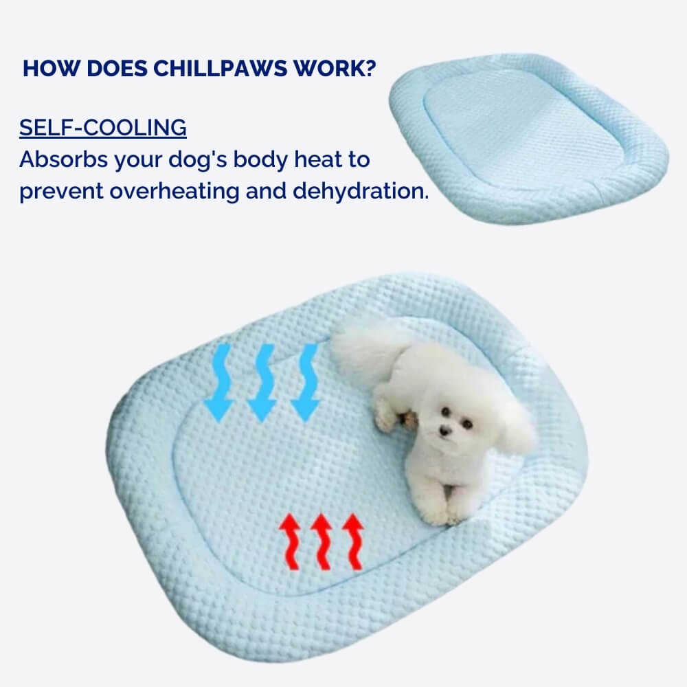 سرير كلاب مبرّد ChillPaws — تحكم بدرجة الحرارة متعدد الطبقات
