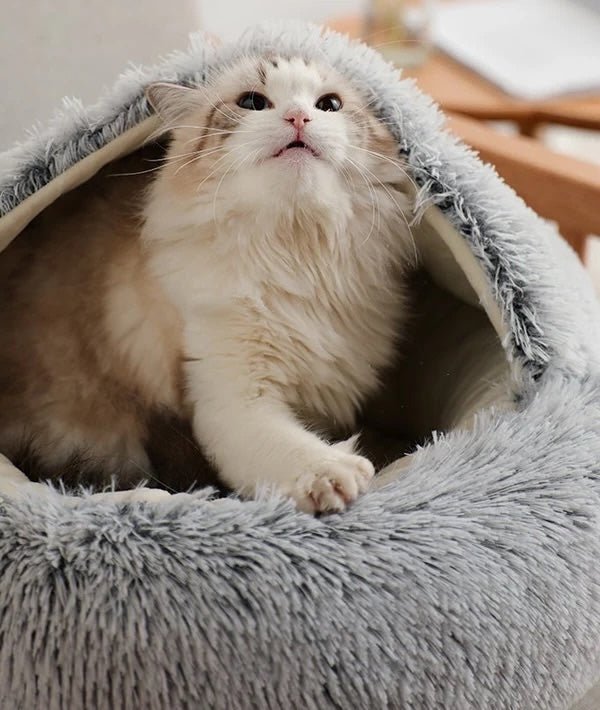 Cozy Haven lugnande bädd formad som ett bo för oroliga hundar och katter