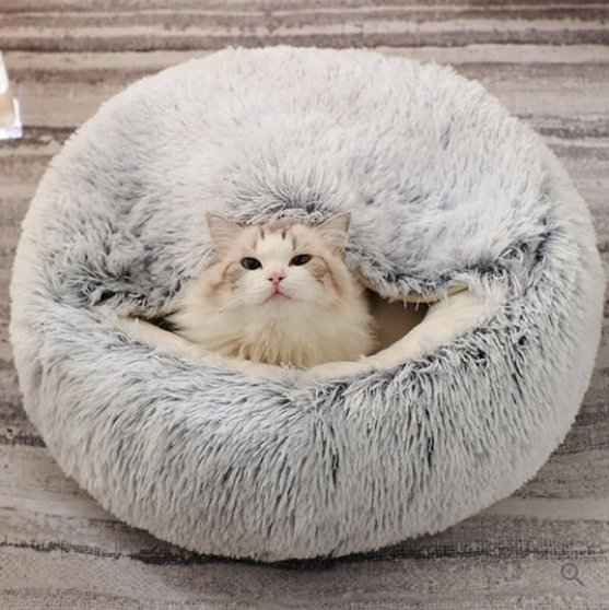 Cozy Haven lugnande bädd formad som ett bo för oroliga hundar och katter