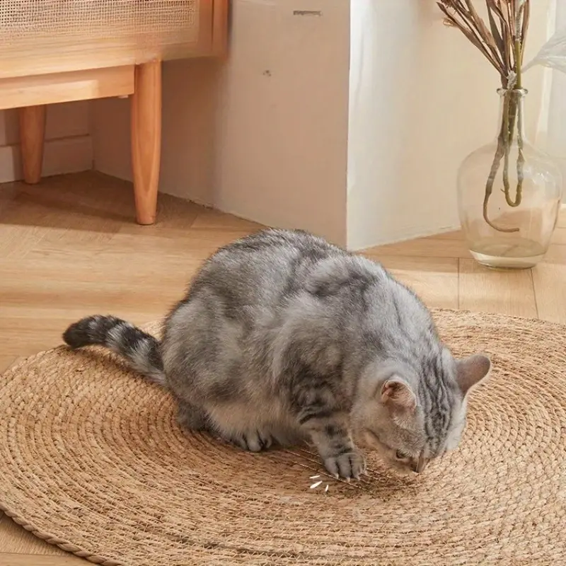 Naturlig og slitesterk klorematte i jute for katter – flettet design | livraina