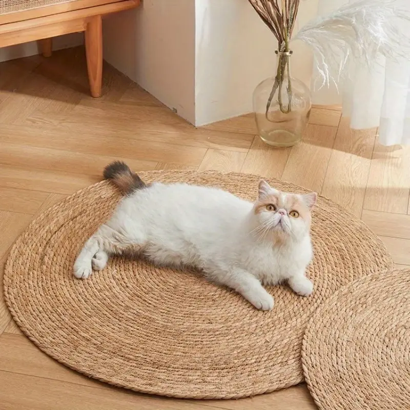 Naturlig og slitesterk klorematte i jute for katter – flettet design | livraina