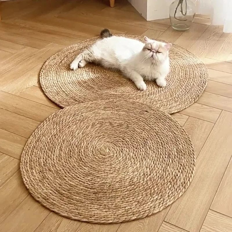 Naturlig og slitesterk klorematte i jute for katter – flettet design | livraina