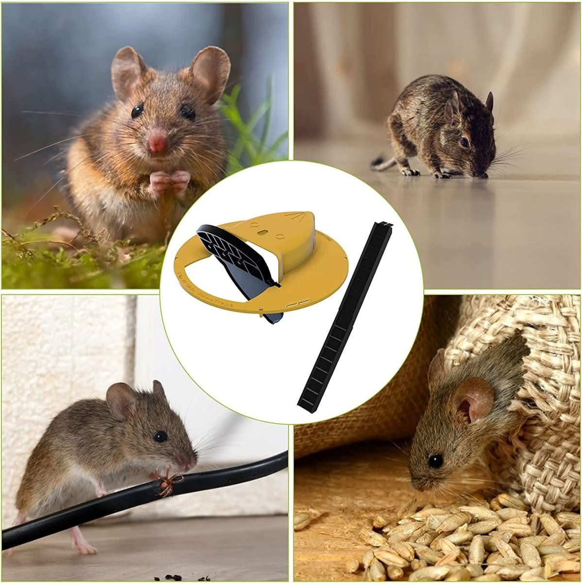 Capac-capcană ecologic GreenGuard ECOCATCH pentru găleți, fără cruzime — eliberare pentru capturi multiple