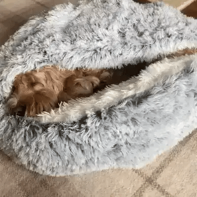 Gemütliches rundes Hundebett — Geschlossenes rundes Design