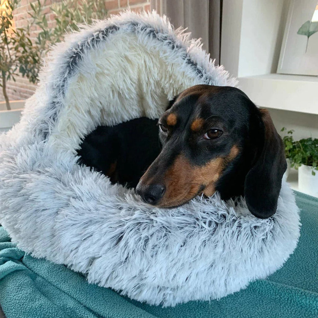 Gemütliches rundes Hundebett — Geschlossenes rundes Design