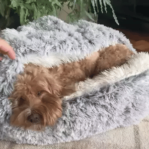 Gemütliches rundes Hundebett — Geschlossenes rundes Design