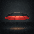 ApexGuard Windproof Umbrella — Reinforced Frame, Ergonomic Handle