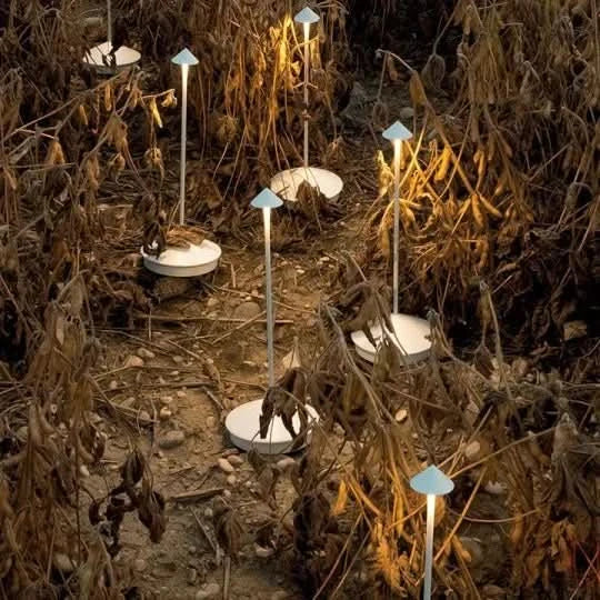 מנורת LED LumaLite — תאורה חסכונית באנרגיה ועמידה לאורך זמן