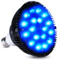 NovaGlow 460nm žárovka pro terapii modrým světlem — LED kosmetická lampa