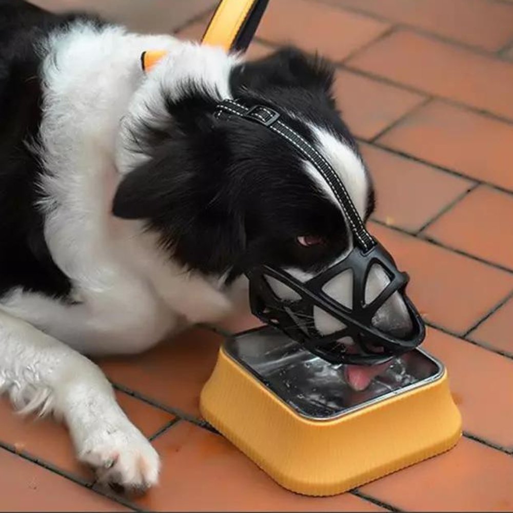 PawGuard åndekrave til hunde - kontrol mod bid og gøen