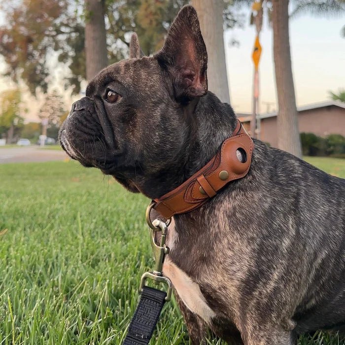 SafeTrack AirTag-Hundehalsband – Kompatibel mit der „Wo ist?“-App und Android-Trackern