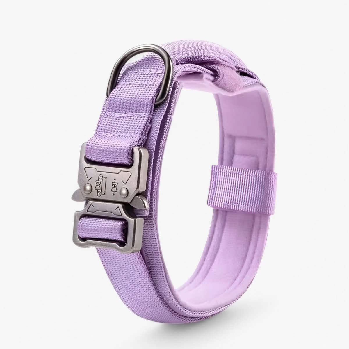 Set de collier tactique pour chien GuardPact — Nylon, chiens de taille moyenne/grande
