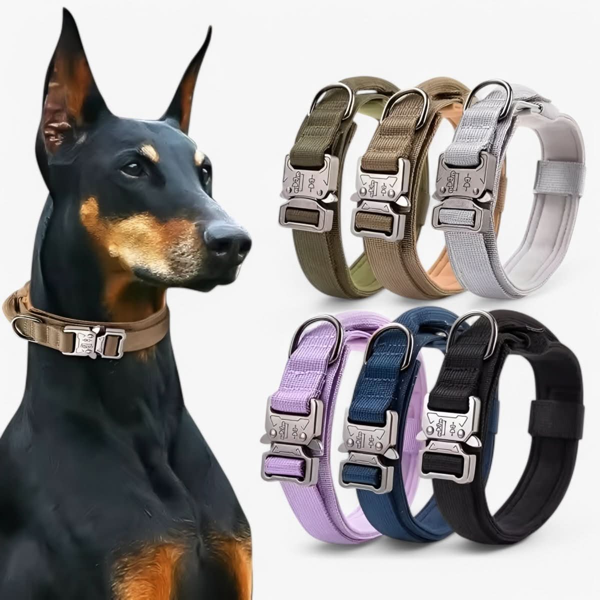 Set de collier tactique pour chien GuardPact — Nylon, chiens de taille moyenne/grande