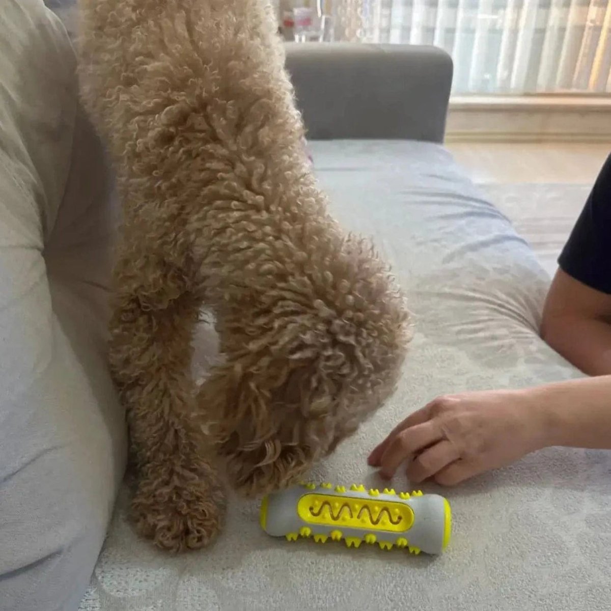 ZenPaw beroligende hundeleke med lavendel og kamille — giftfri polymer
